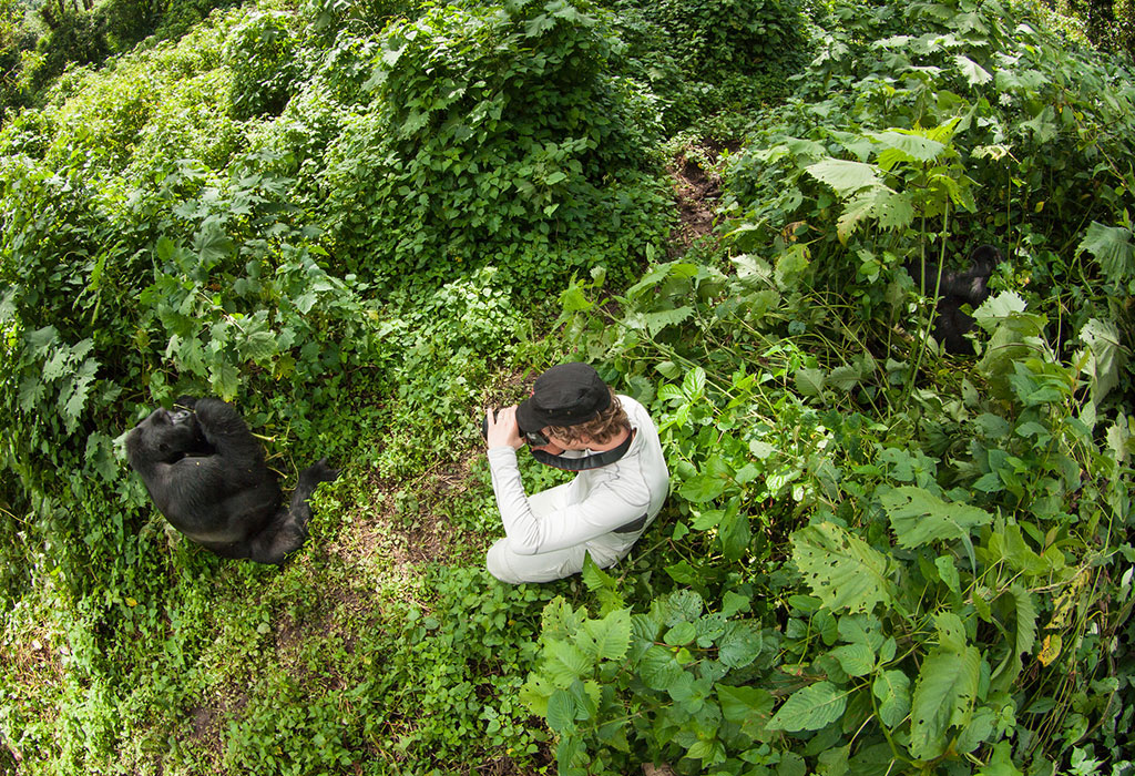 Gorilla Trekking in Bwindi