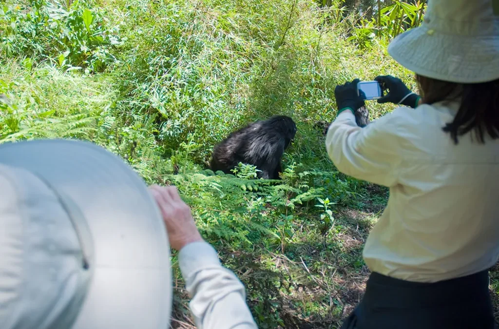 How to Plan a Last-Minute Safari in Uganda