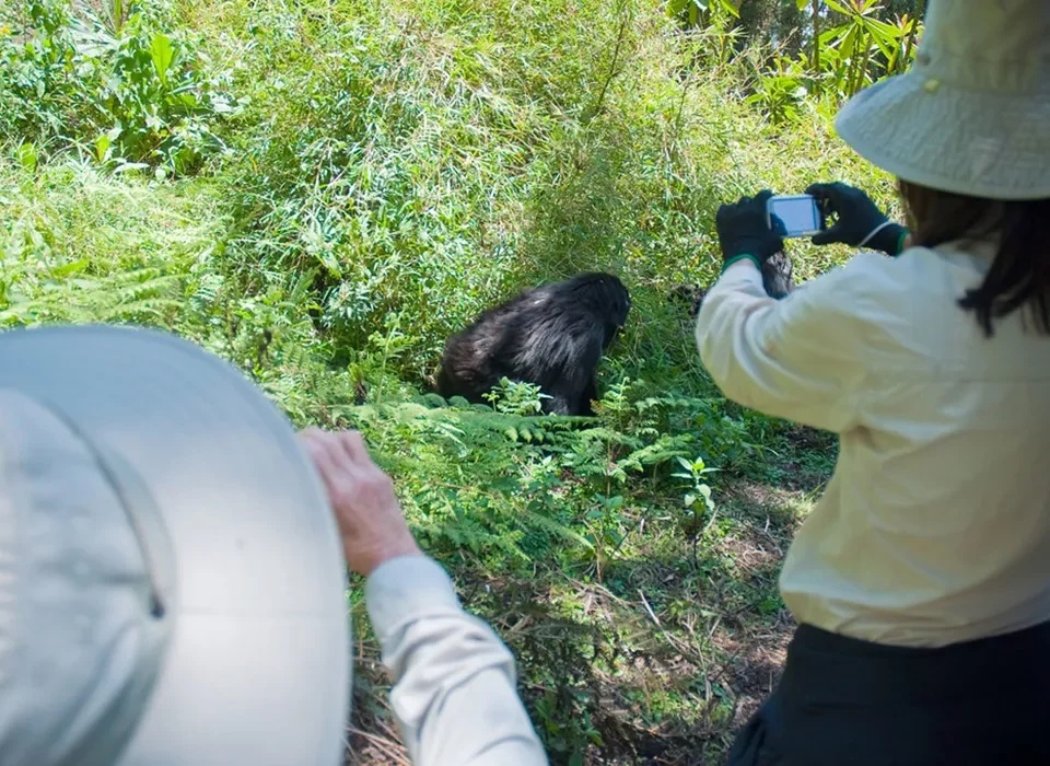 How to Plan a Last-Minute Safari in Uganda