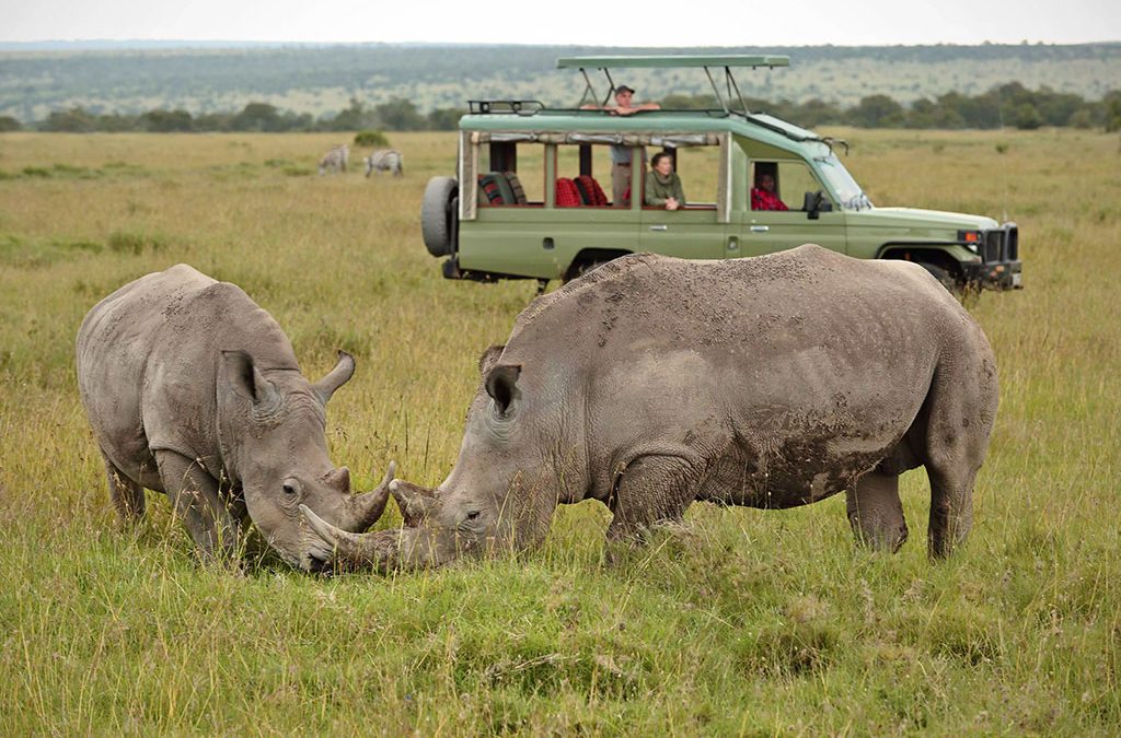 How to Plan the Ultimate Luxury Wildlife Safari in Kenya