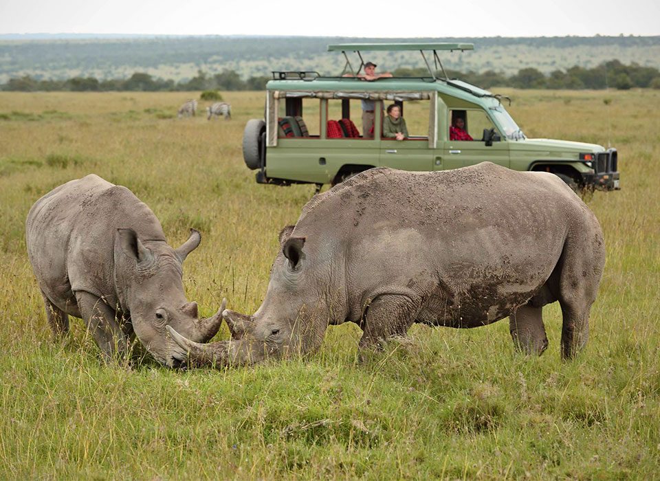 How to Plan the Ultimate Luxury Wildlife Safari in Kenya