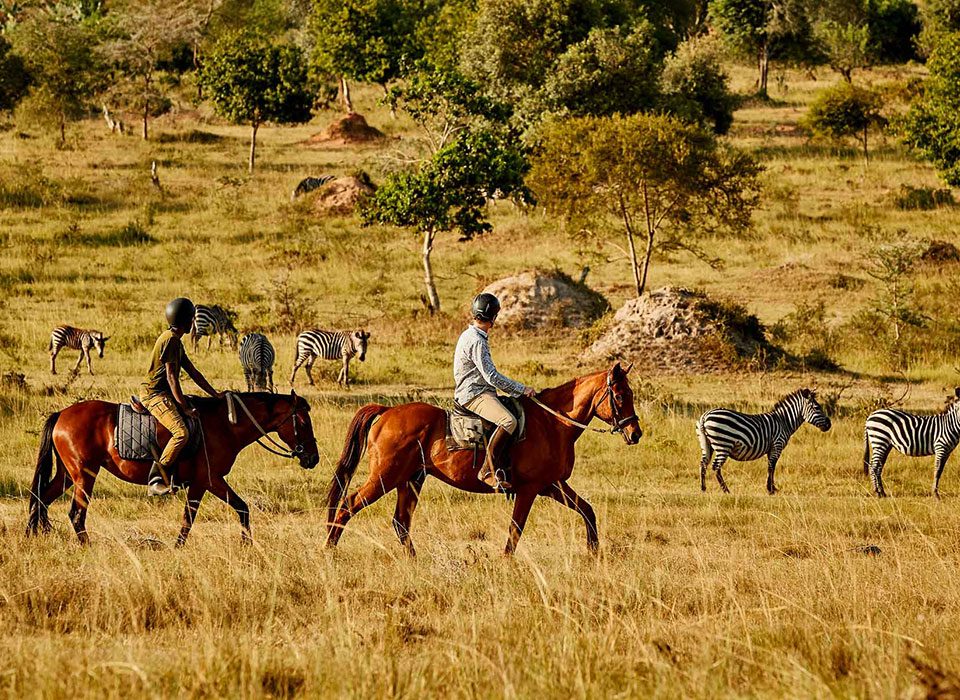 How to combine Horseback Riding with Gorilla Safari in Uganda