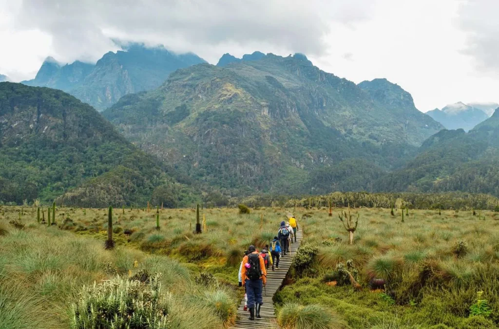 How to plan Festive Season Hiking and Wildlife Trip in Uganda