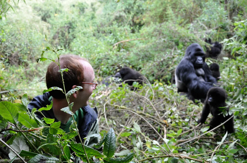 The cost of 6-Day Primates & Game Luxury Safari in Rwanda