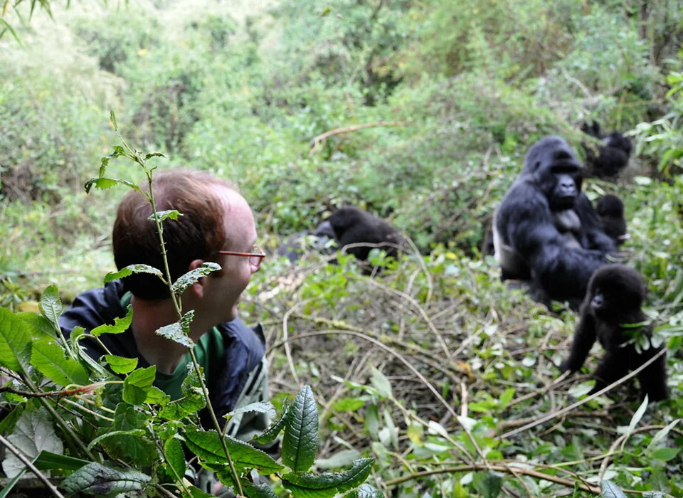 The cost of 6-Day Primates & Game Luxury Safari in Rwanda