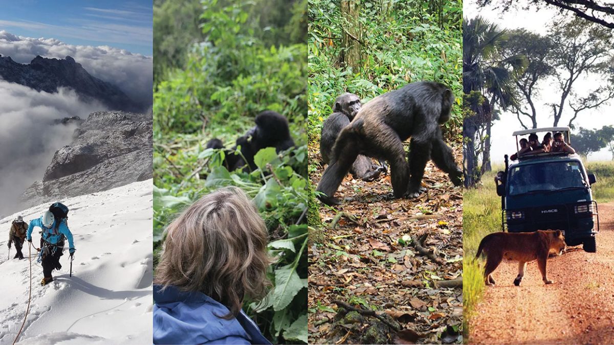 What is the cost of Gorilla, Game & Hiking Safari in Uganda