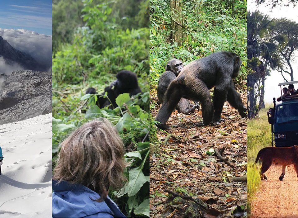 What is the cost of Gorilla, Game & Hiking Safari in Uganda