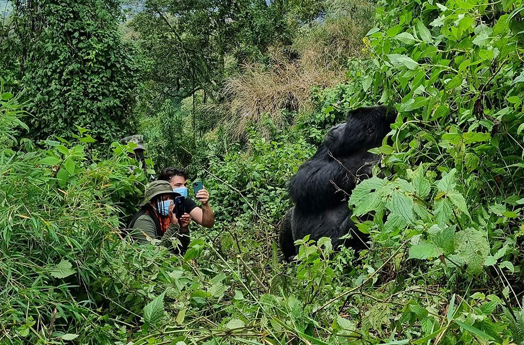 Why Children Under 15 Cannot Go Gorilla Trekking