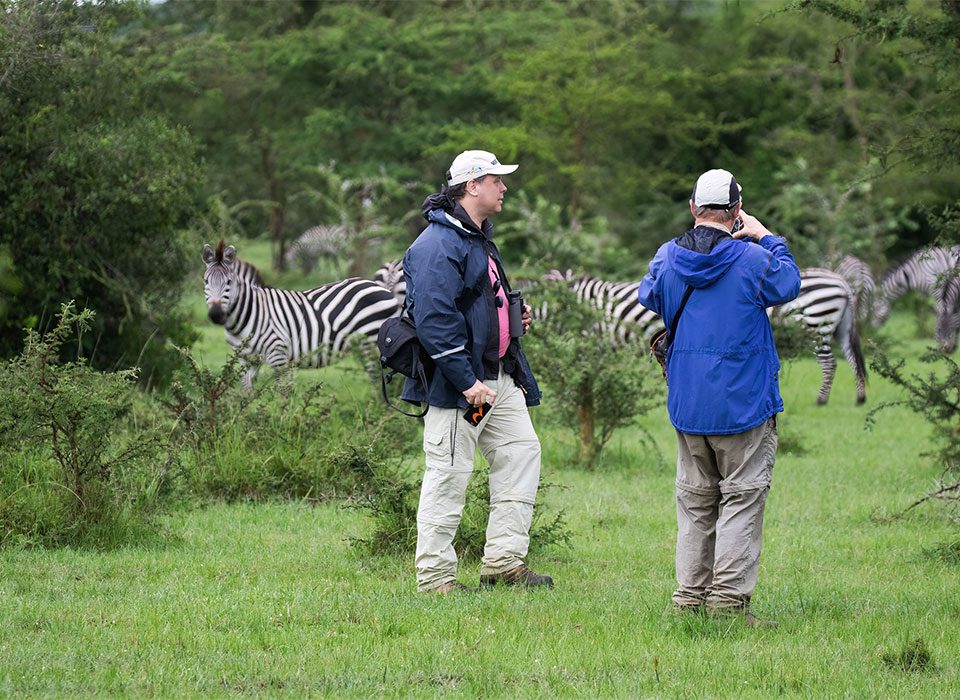 Best Places to See Zebras in East Africa