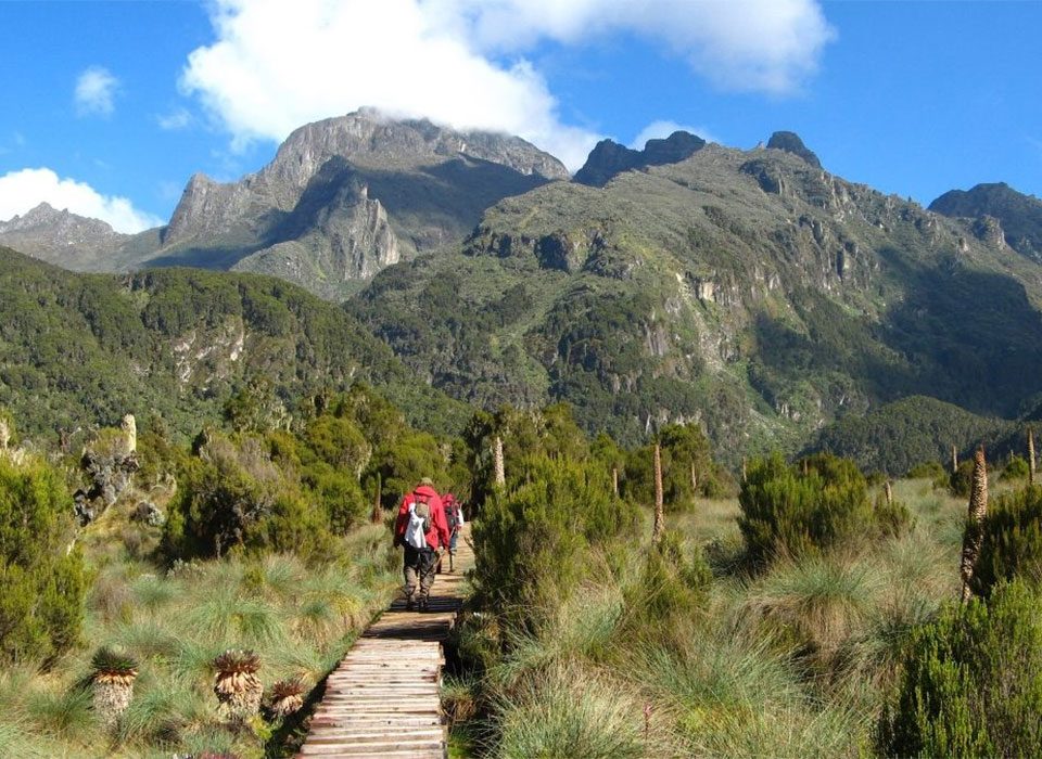 How to Combine Mt. Elgon with Murchison Falls in One Trip