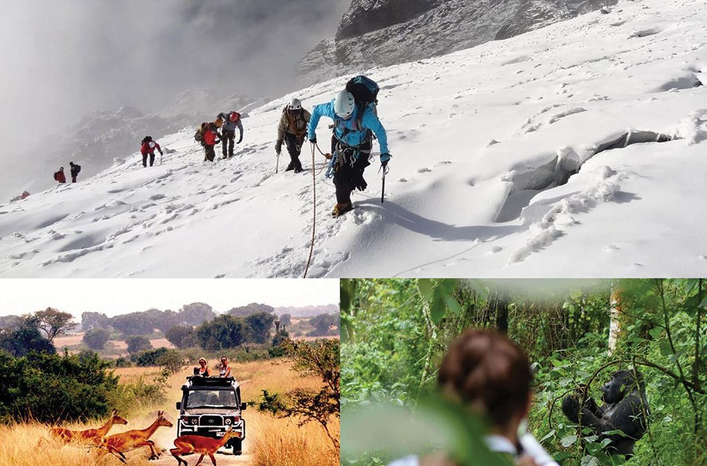 How to Combine Rwenzori Hiking, Game Safari & Gorillas in Uganda