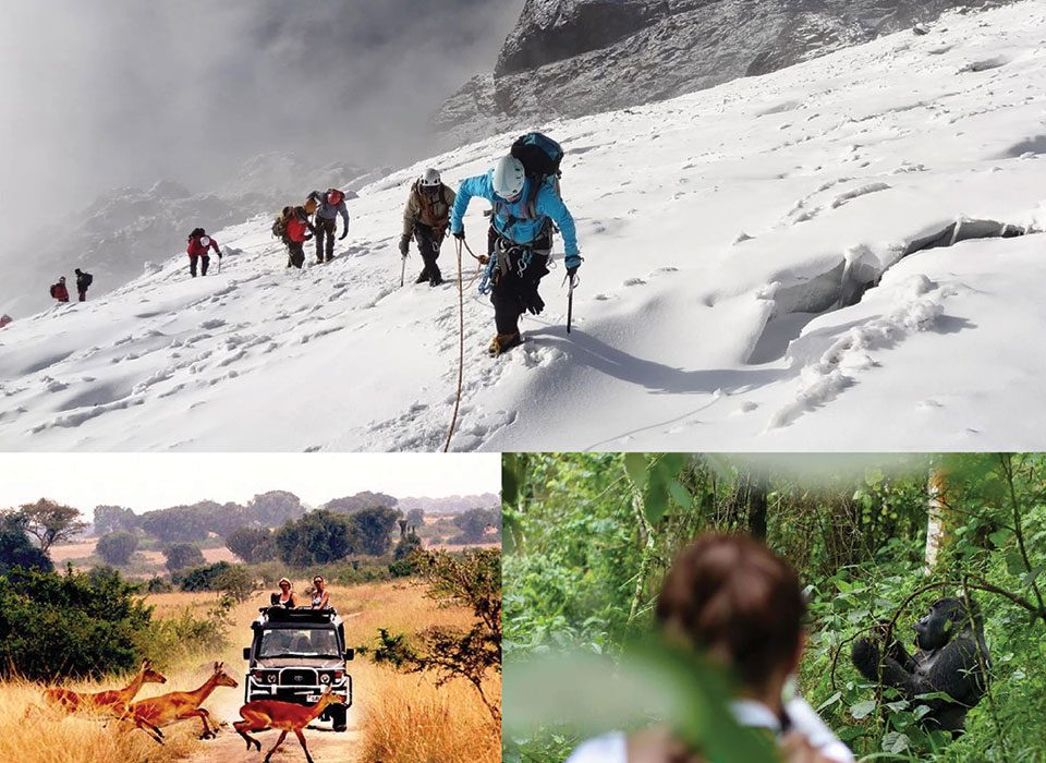 How to Combine Rwenzori Hiking, Game Safari & Gorillas in Uganda