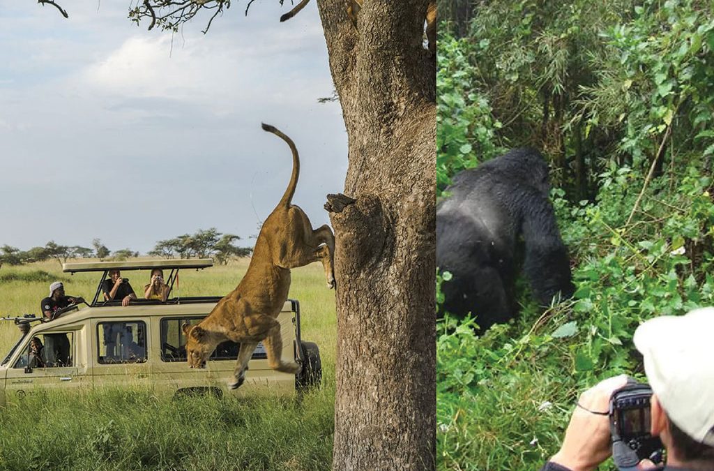 Tanzania and Rwanda for First-Time Safari Travelers
