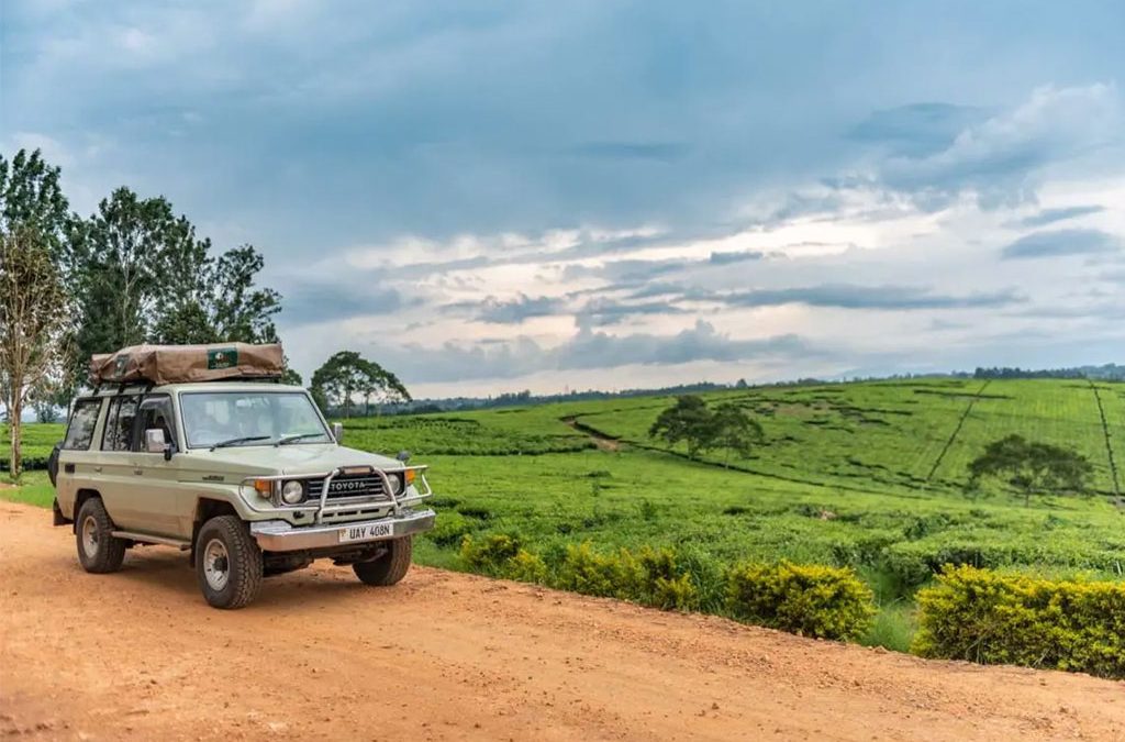 Uganda Safaris from Kigali vs Entebbe
