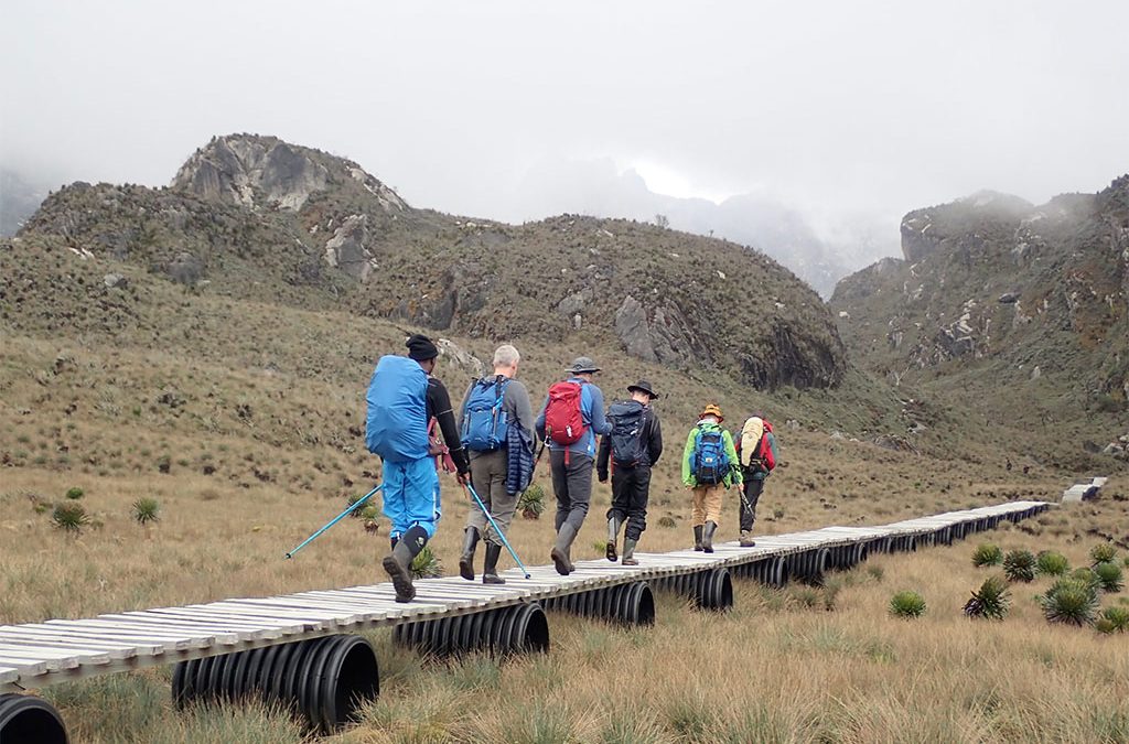 What to Pack for Rwenzori Mountains Hiking