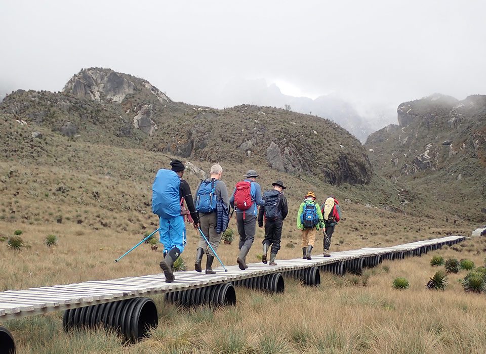 What to Pack for Rwenzori Mountains Hiking