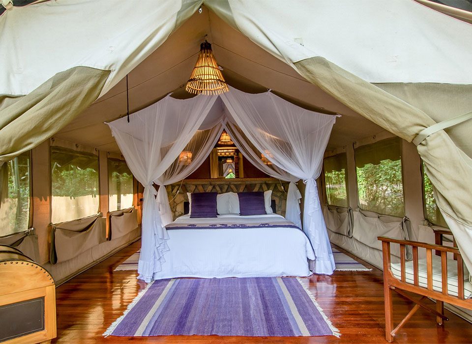 Why Stay at Sarova Mara Game Camp during Masai Mara Safari