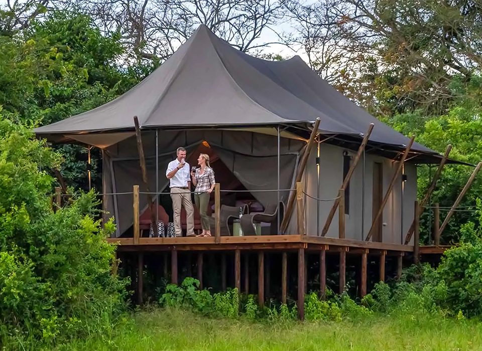 Choosing the Perfect Honeymoon Safari - Uganda vs Rwanda