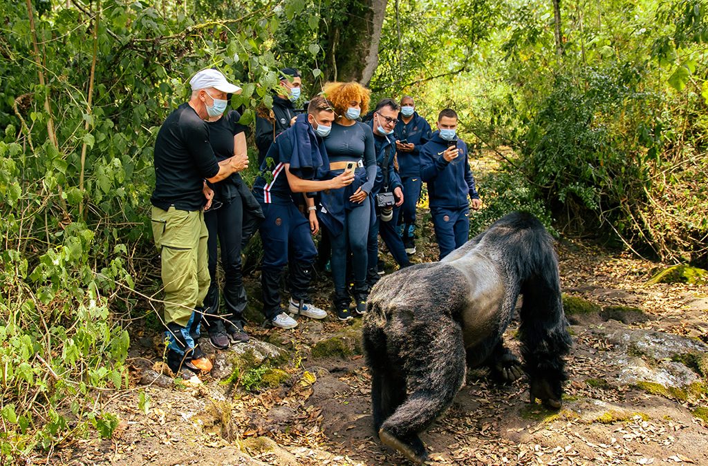 How to Plan a Family-Friendly Rwanda + Tanzania Trip