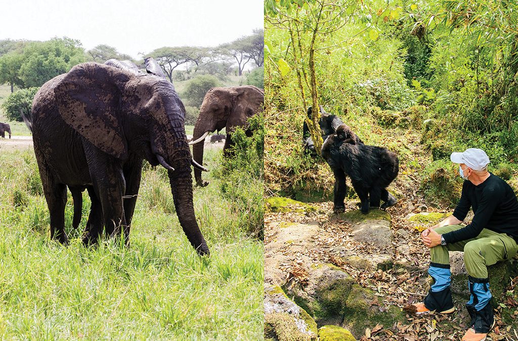 How to Plan a Month-Long Adventure Across Tanzania, Uganda & Rwanda