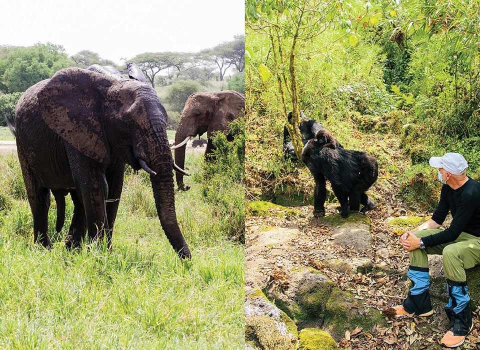 How to Plan a Month-Long Adventure Across Tanzania, Uganda & Rwanda