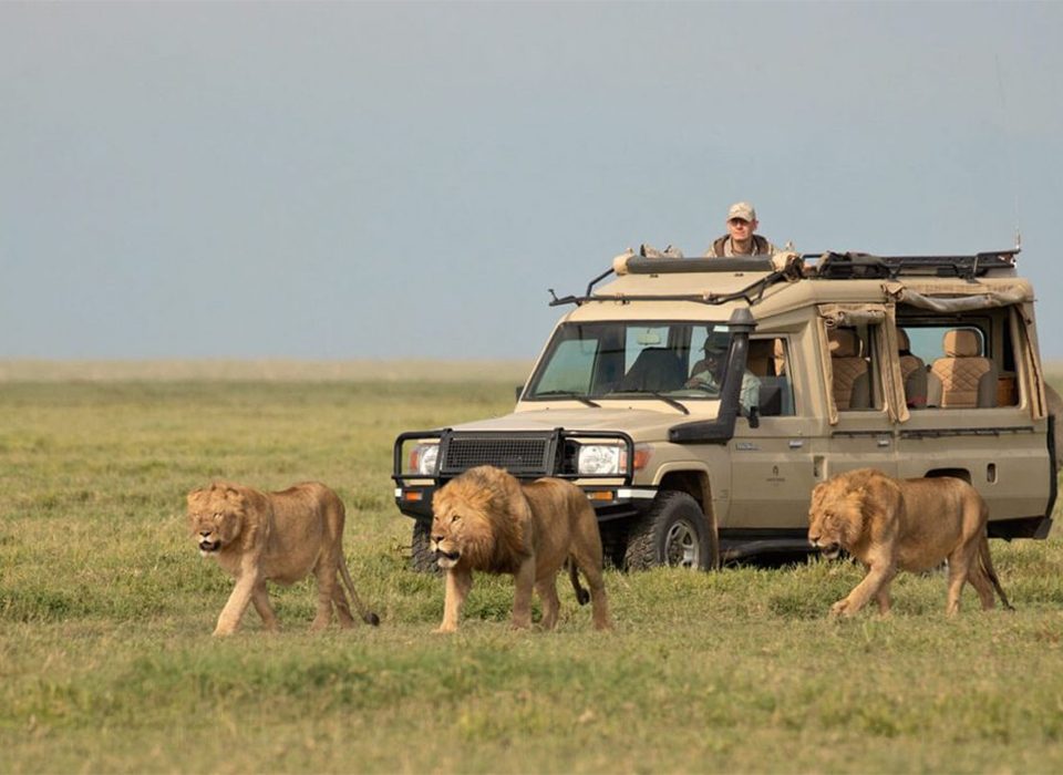 How to Travel Safely in Rwanda and Tanzania