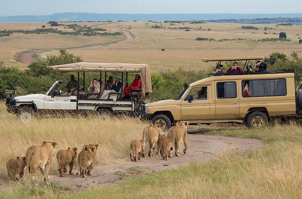 Multi-Country Safari: Tanzania-Kenya-Uganda-Rwanda-Burundi