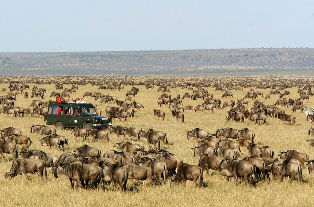 How Perfectly Pair Masai Mara with Zanzibar Beaches
