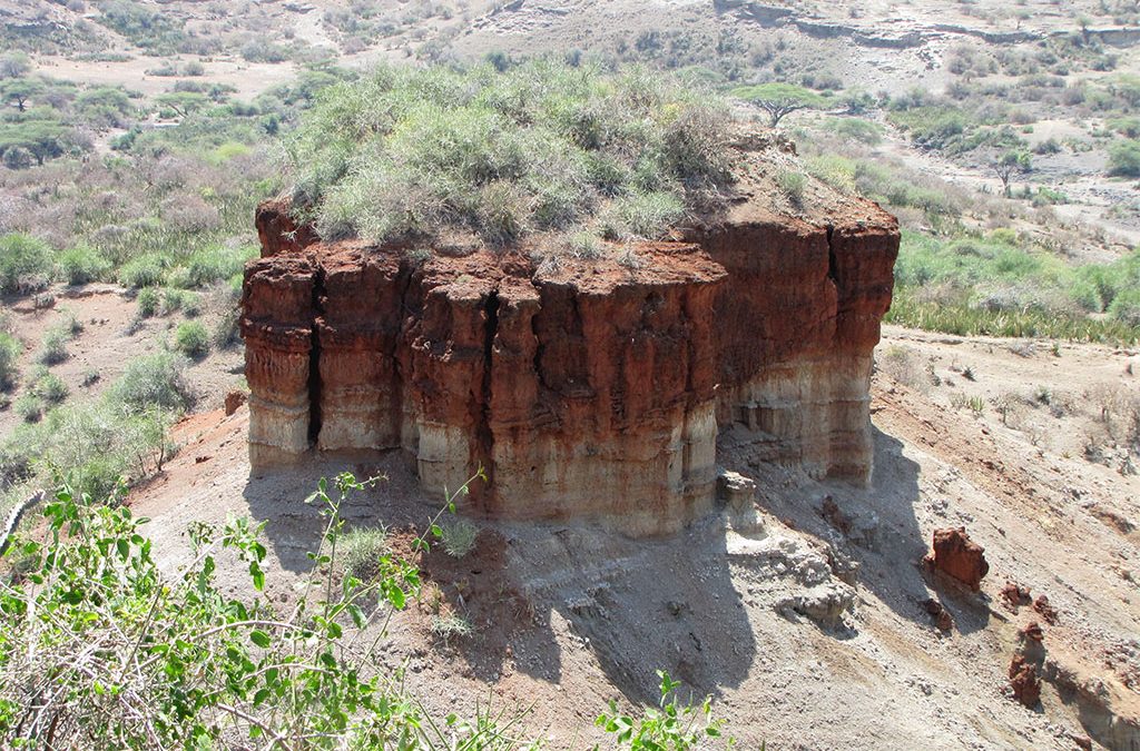 Is Olduvai Gorge Worth Visiting? A Journey to Humanity's Birthplace