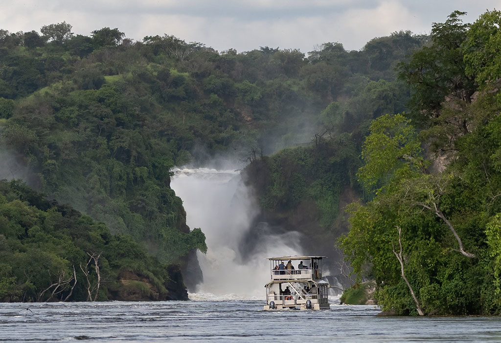 The Best of Uganda Safari