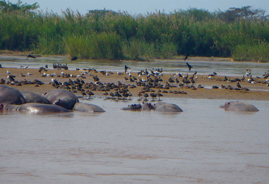 Rusizi National Park