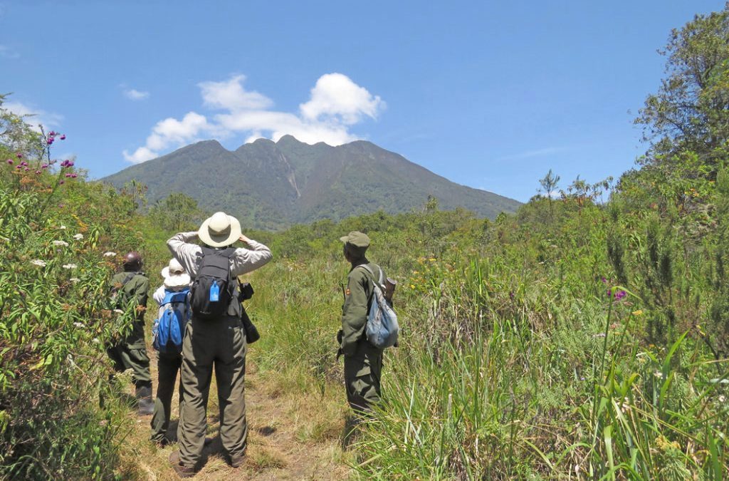 Top 7 Things to Know Before Visiting Mgahinga