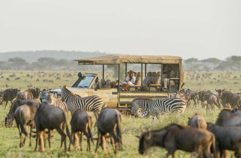 Ultimate Tanzania-Uganda Luxury Safari Adventure
