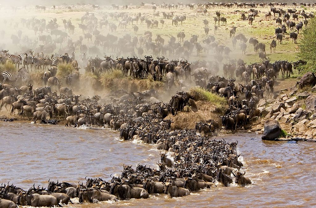 When do the River Crossings happen in Serengeti