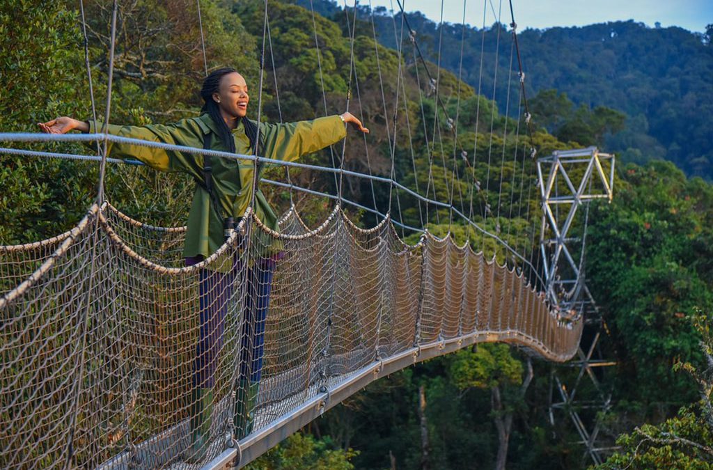 Why You Should Visit Nyungwe Forest National Park