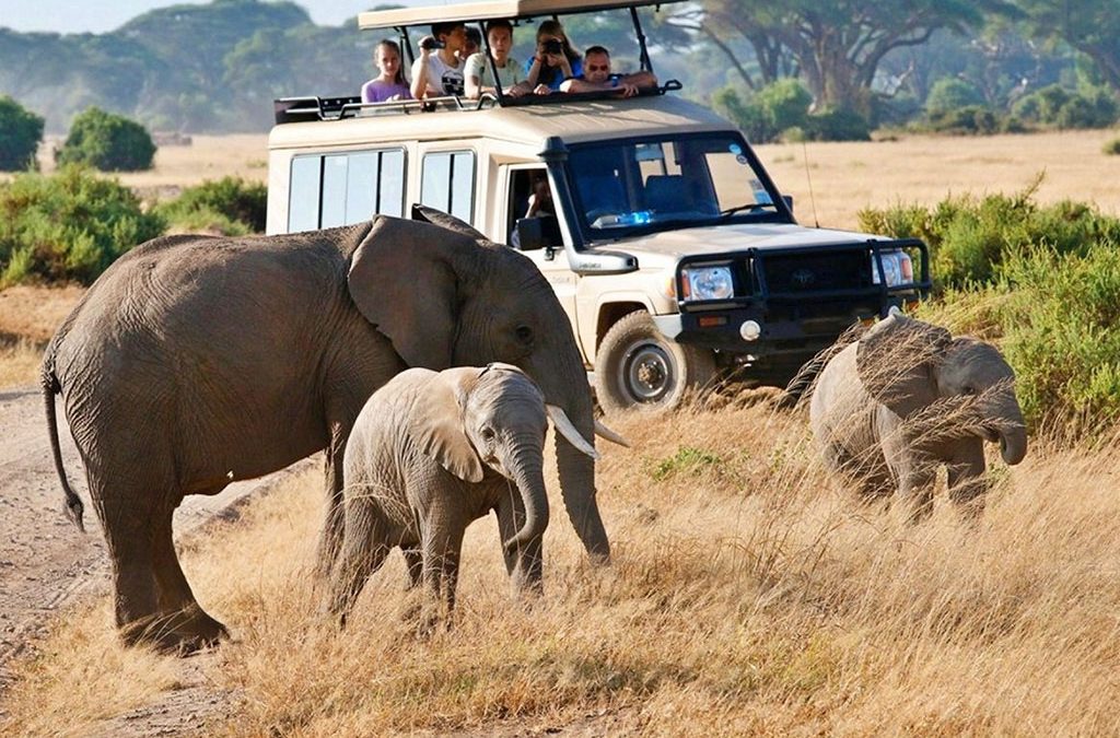 7–10 Day Kenya Safari and Beach Itinerary