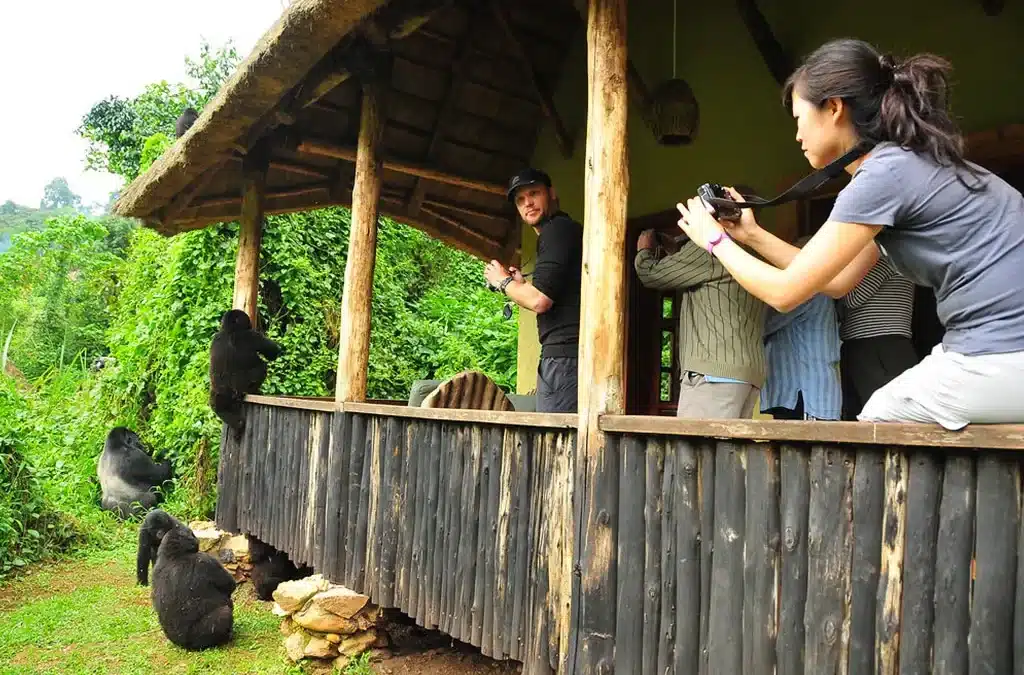 How to maximize a 5-Day Uganda Itinerary from Rwanda