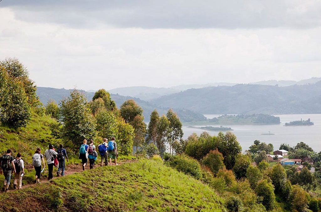 Nature Walks Beyond Gorillas in Nkuringo Sector