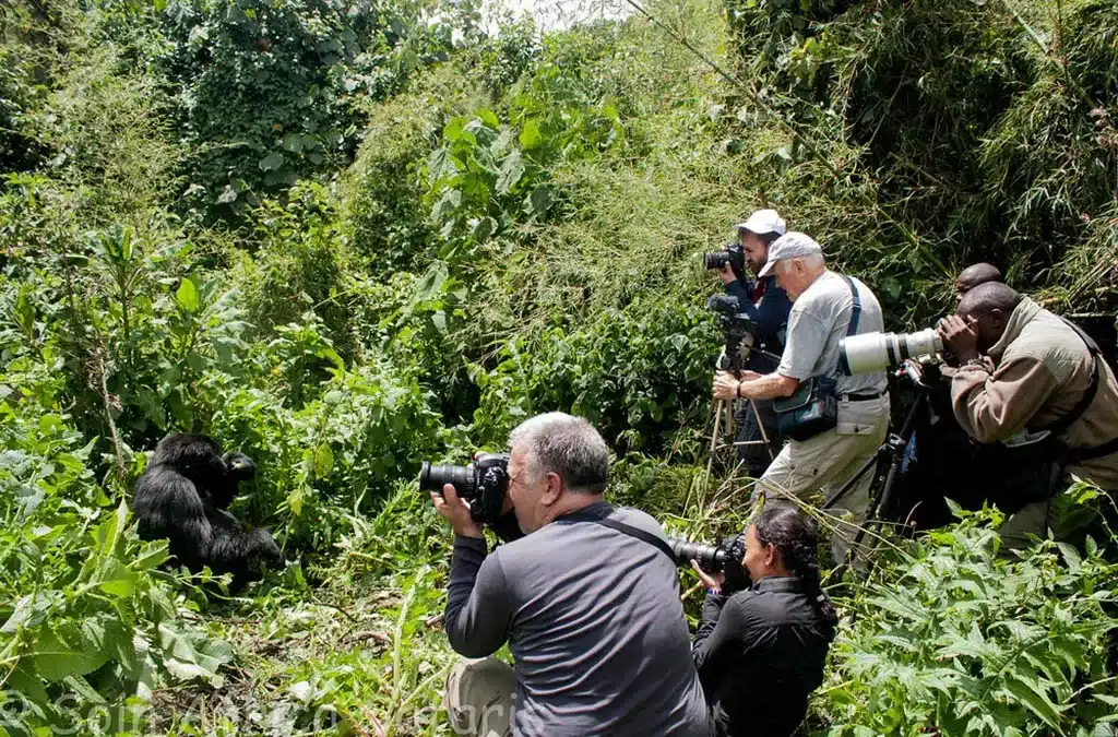 Primates Trekking in Mgahinga from Kisoro