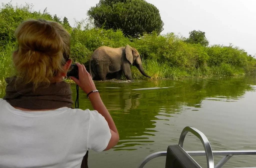 Queen Elizabeth Safari and Volcano Hiking Itinerary