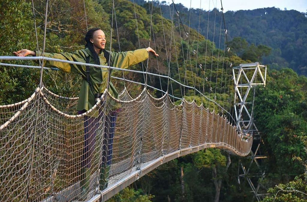 Short 3-Day Nyungwe Safari – Is it worth it?