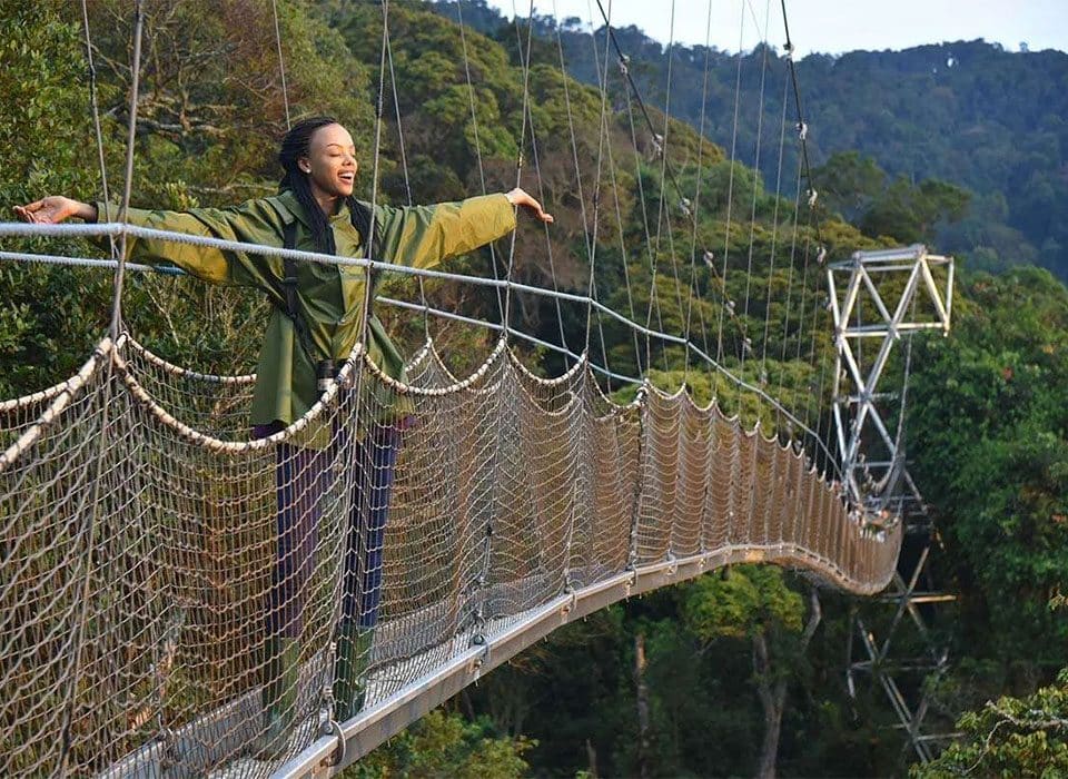 Short 3-Day Nyungwe Safari – Is it worth it?