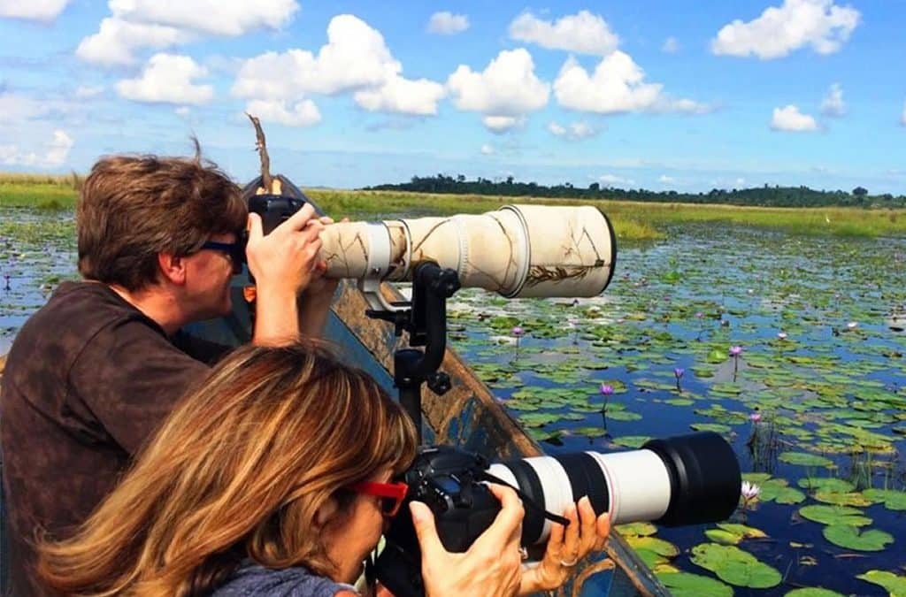 When to Visit Uganda for Bird-Loving Couples