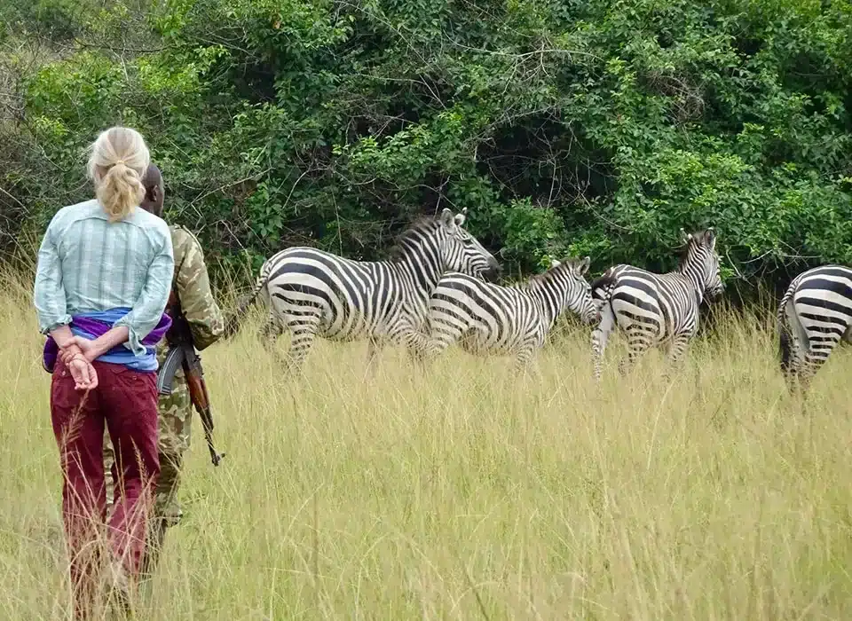 Why Combine Lake Mburo with Mgahinga Parks