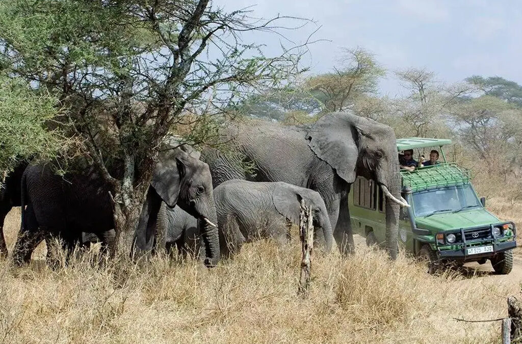 How to Plan Game Safari in Rwanda with Beach Holiday