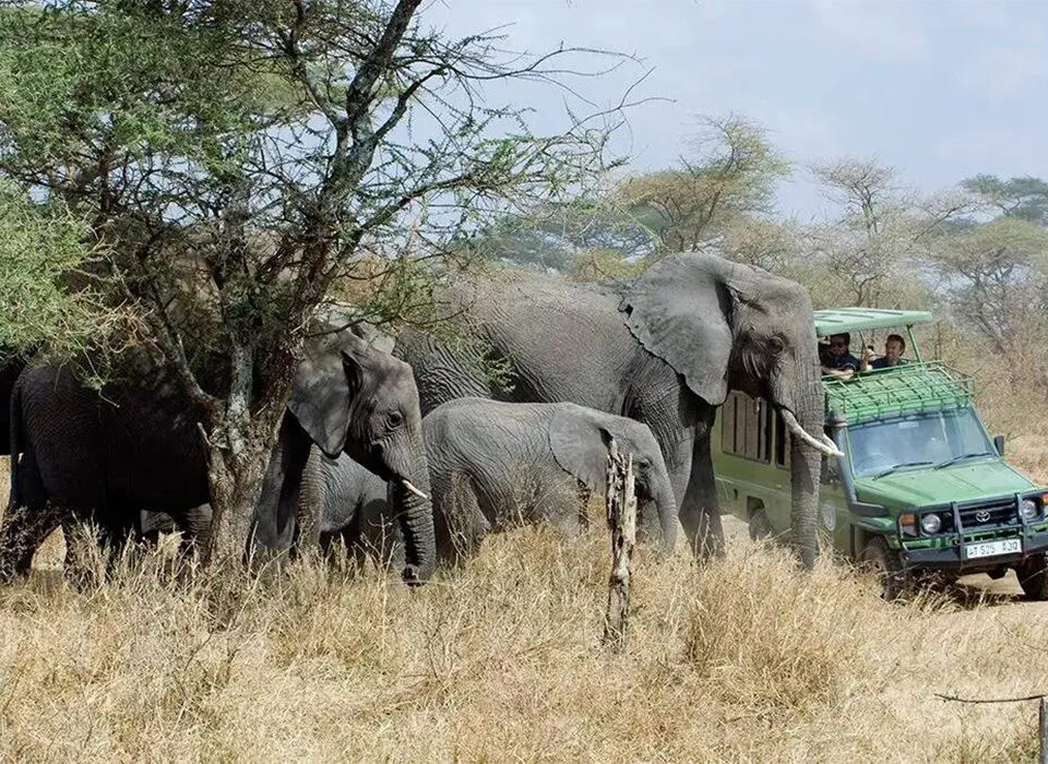 How to Plan Game Safari in Rwanda with Beach Holiday