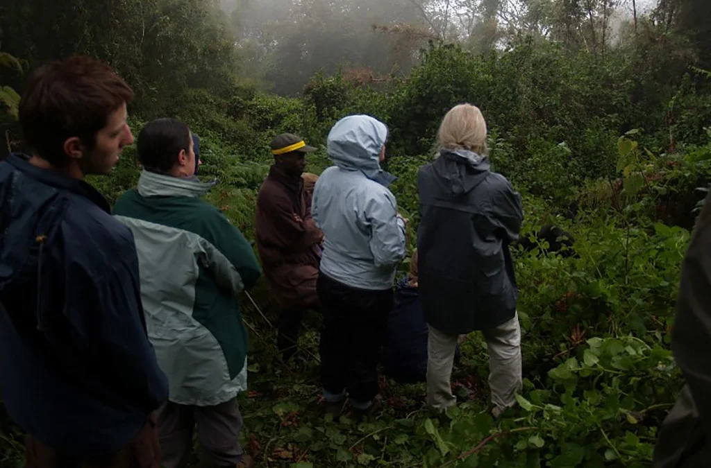 Is April a Good Month for Safari in Rwanda?