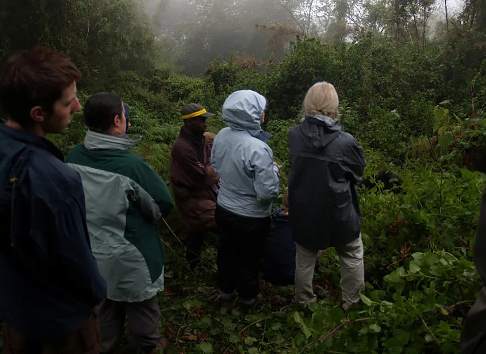 Is April a Good Month for Safari in Rwanda?