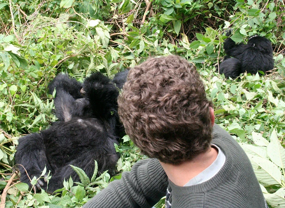 A 10 Day Uganda-Rwanda Safari for First Time USA Visitors