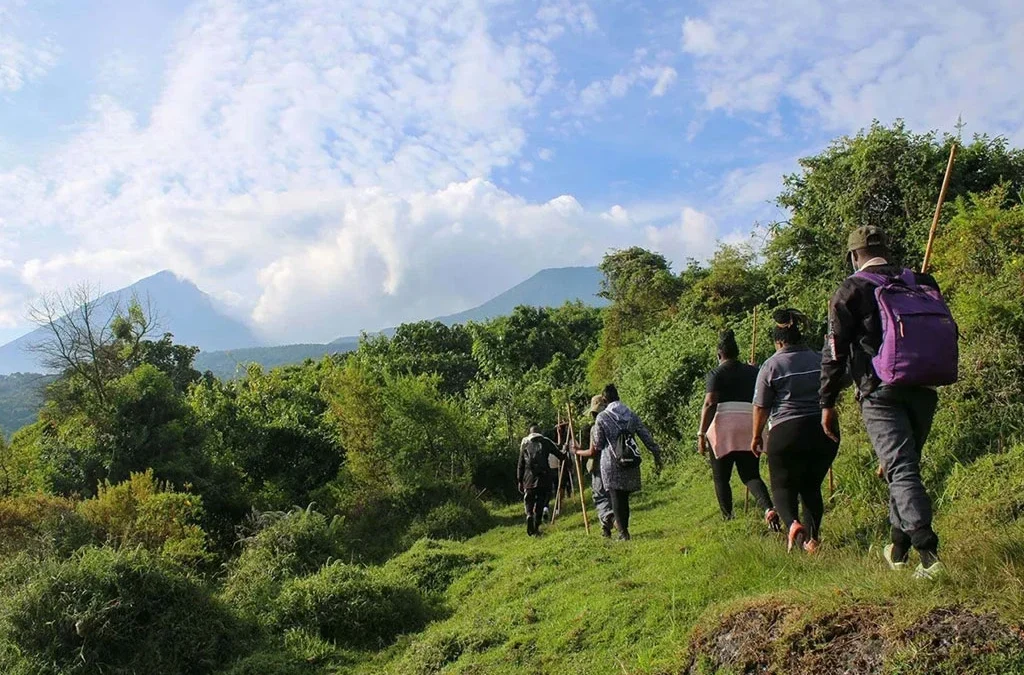 Combining Hiking with Safari in Uganda and Rwanda